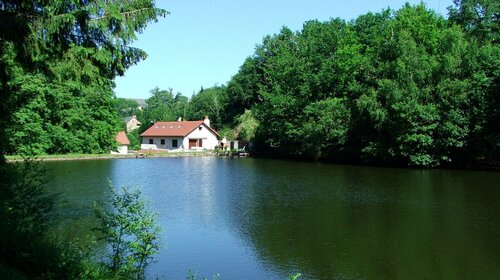 Le moulin de l'étang