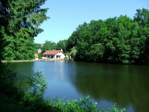 Le moulin de l'étang